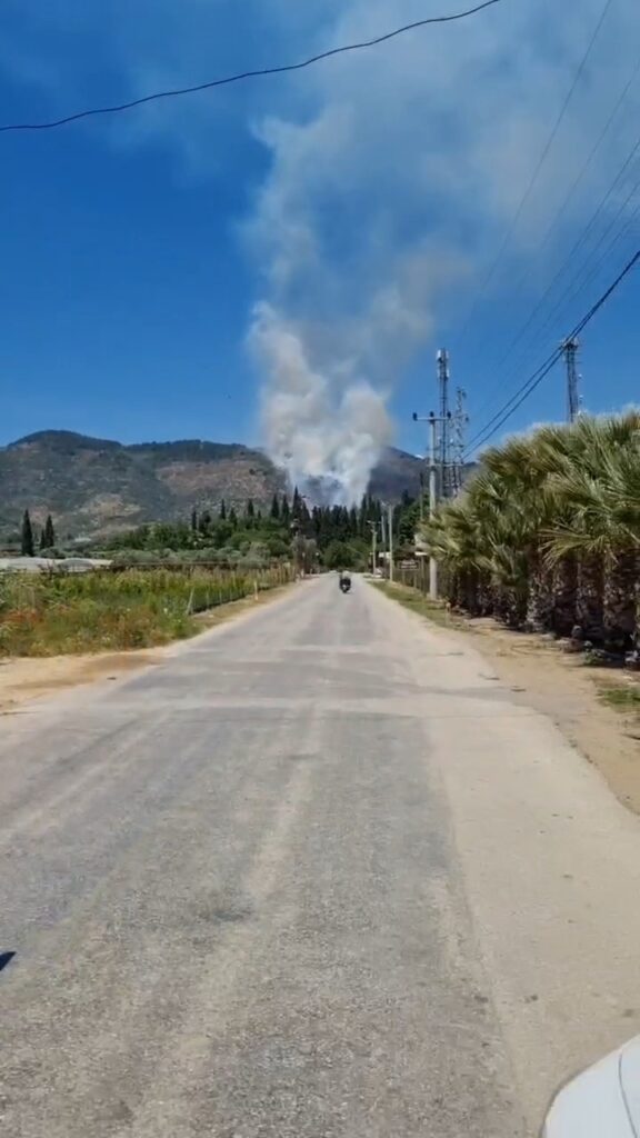 Torbalı Bayındır Orman Yangını Torbalı Bayındır Orman Yangını