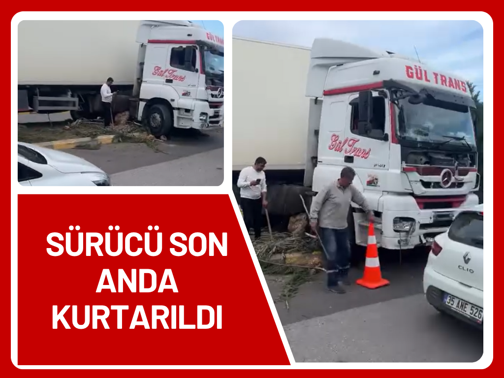 Pancar Organize Sanayi