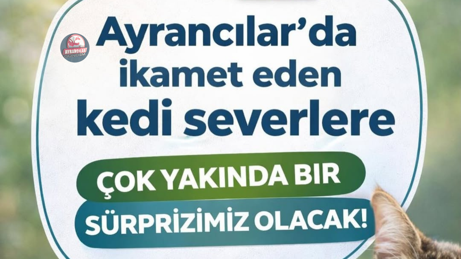 Ayrancılar TORPATİ Projesi Sürpriz Getiriyor